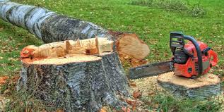 Best Utility Line Clearance  in East Niles, CA