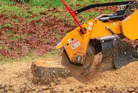 Best Pest Control for Lawns  in East Niles, CA